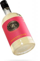 CHINENSIS PLUM / ЛИЧИ